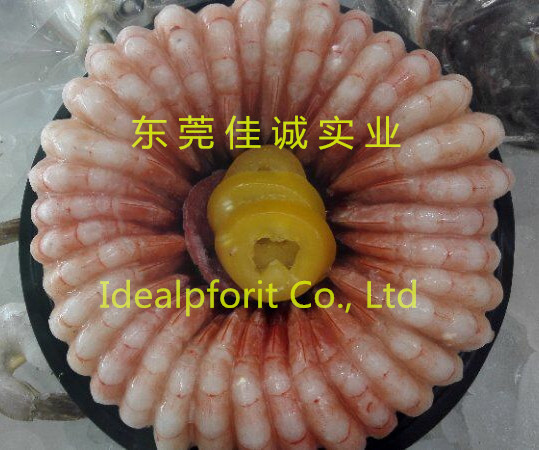圓盤蝦子_副本.jpg