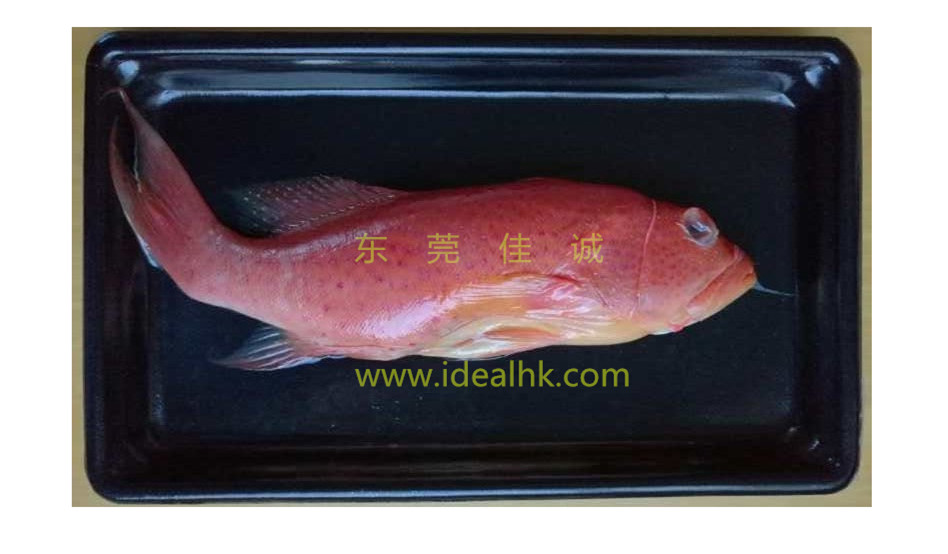 新鮮魚真空包裝樣例